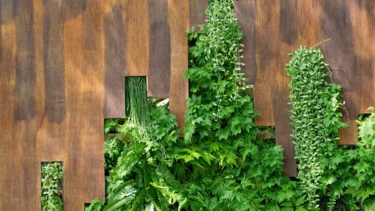 A vertical garden with lush green ferns and foliage against a backdrop of staggered brown wooden planks.